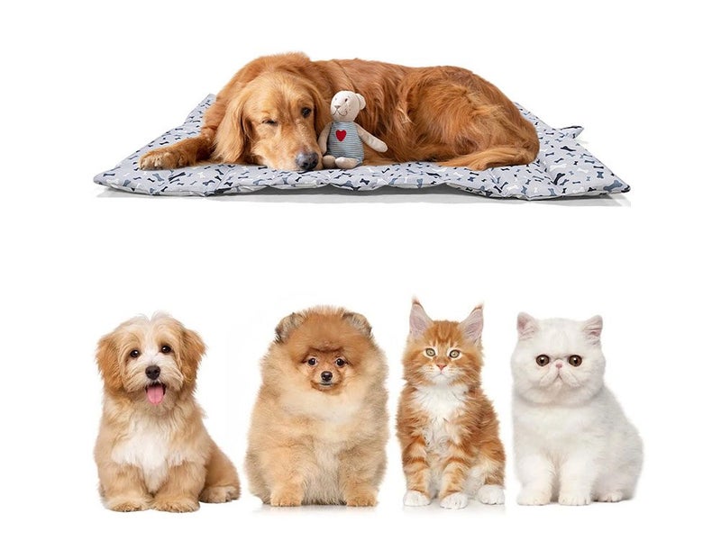 PTN NEW Waterproof Pet Dog Mat Sale - Sale Sale Carousel 11