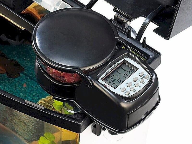 Auto Fish Feeder NZ Clearance Carousel 2