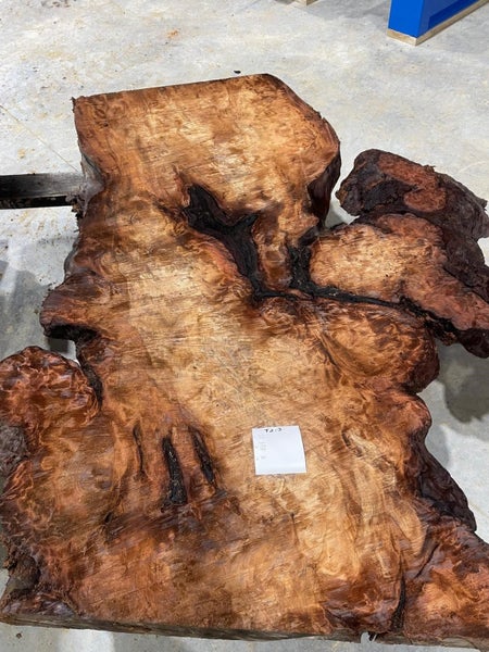 Kauri Swamp Slab62863866691842118