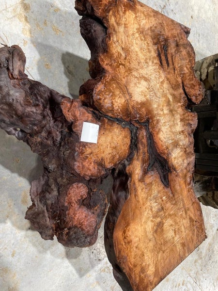 Kauri Swamp Slab62863866691842111