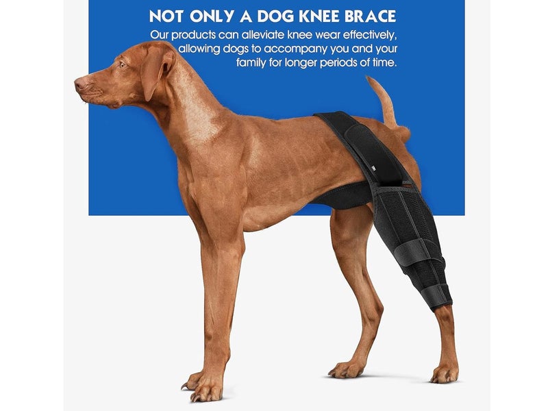 Dog Knee Brace Local NZ Clearance Carousel 2