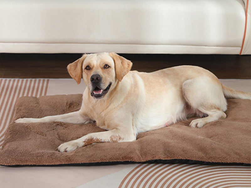 Self-Heating Pet Blanket Bed Pad Cat Dog Self-Warming Thermal Cushion Khaki XL Carousel 5