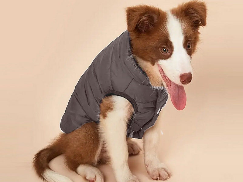 Dog Warm Coat Thickened Padded Windbreaker Vest Jacket Winter Coffee M Carousel 5