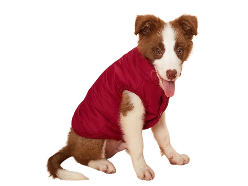 Dog Warm Coat Thickened Padded Windbreaker Vest Jacket Winter Wine Red 3XL Carousel 5