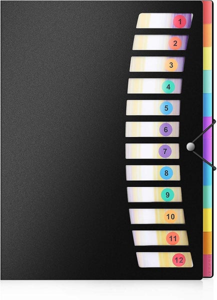 Expanding Project Sorter - 24 Pockets Poly Document Organizer With Rainbow Acco Carousel 1