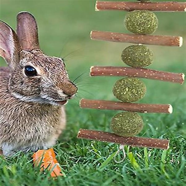 Rabbit Chew Toys Pet Bunny Tooth Chew Toys Ideal For Bunny Chinchilla Guinea Pi Carousel 5