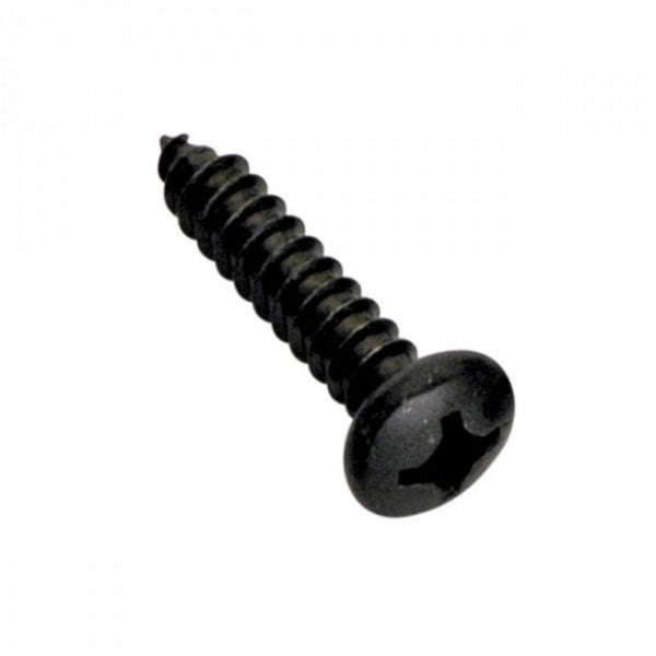 Champion 4.2 x 9.5mm Self Tapping Screw Pan Head Ph -30pk Carousel 1