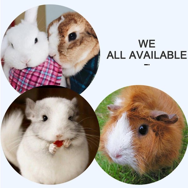 Rabbit Food Bowl guinea Pig Food Bowl 2 In 1 Hanging Automatic Rabbit Feeder Di Carousel 5