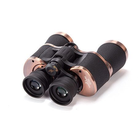 Binoculars Carousel 1
