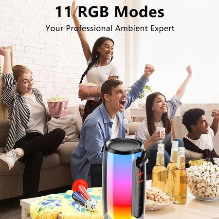 Karaoke Machine with 2 Microphones Compatible with Multiple Devices Carousel 6