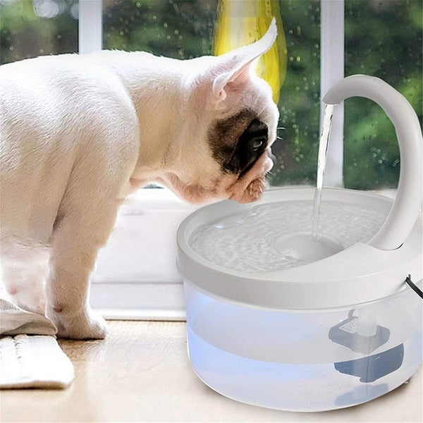 Pet Water Fountain With Filter And Led Light - Automatic Drinking Fountain For Carousel 1