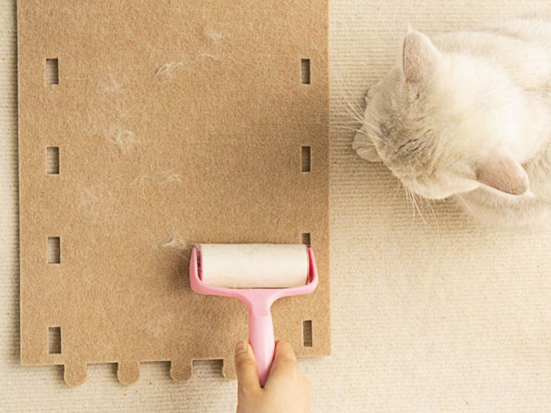 Cat Cave Bed for Indoor Foldable Cat Tunnel Hideaway Bed Pet Cat House Camel Carousel 5