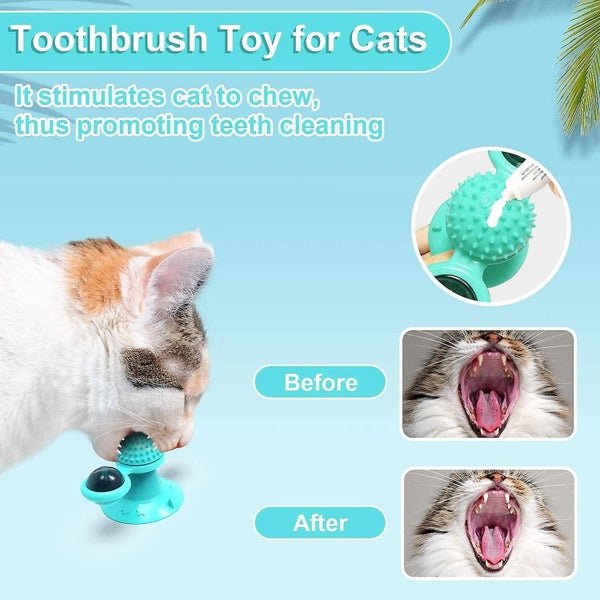 Yutang Interactive Windmill Cat Toys With Catnip : Cat Toys For Indoor Cats Fun Carousel 2
