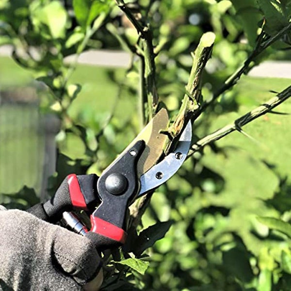 Pruning Shears Garden Shears Garden Scissors Gardening Shears Bypass Pruners Carousel 5