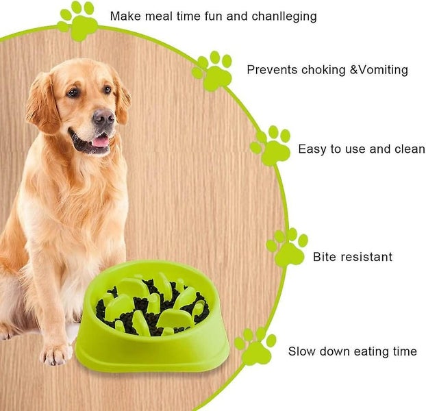 Slow Feeder Dog Bowls 4 Cups Heavy Puzzle Food Bowl Non-slip Carousel 2