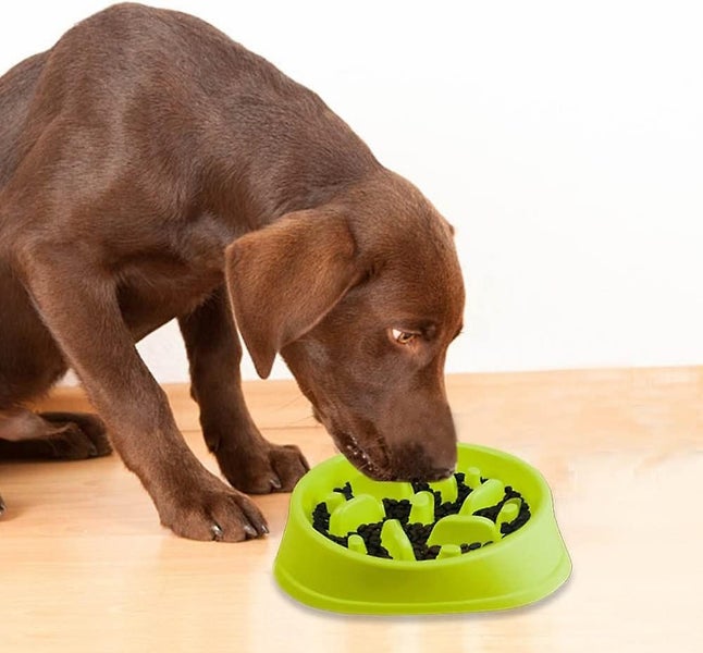 Slow Feeder Dog Bowls 4 Cups Heavy Puzzle Food Bowl Non-slip Carousel 5