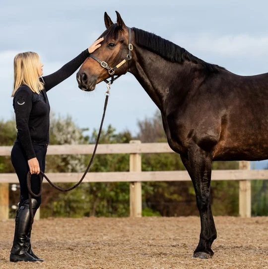 Digestive EQ - Equine Gut Supplement 4KG Carousel 3