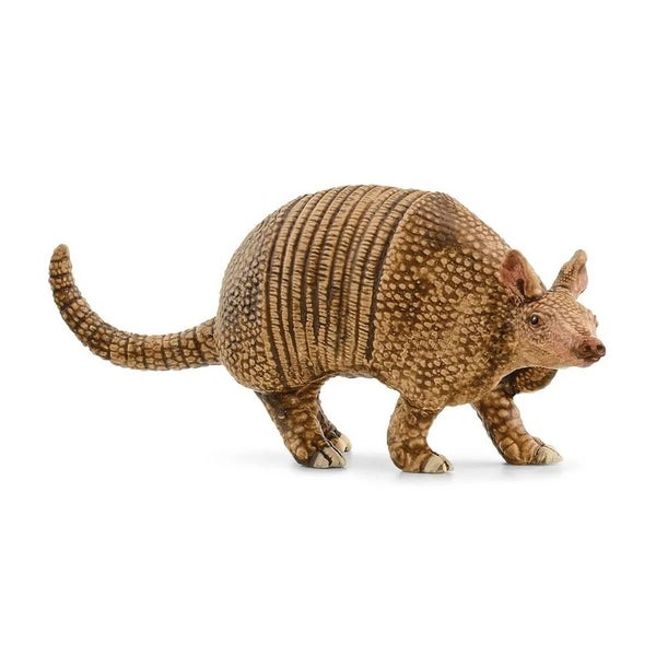 Schleich Wild Life - Armadillo Carousel 1