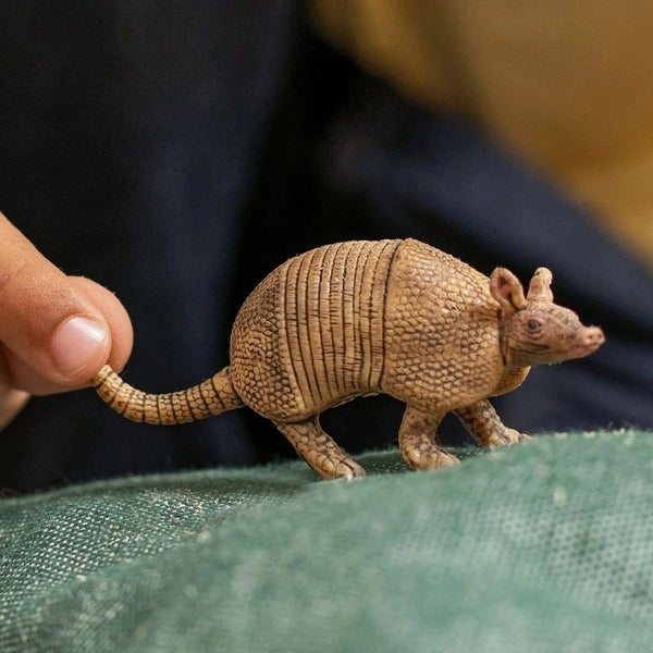 Schleich Wild Life - Armadillo Carousel 2