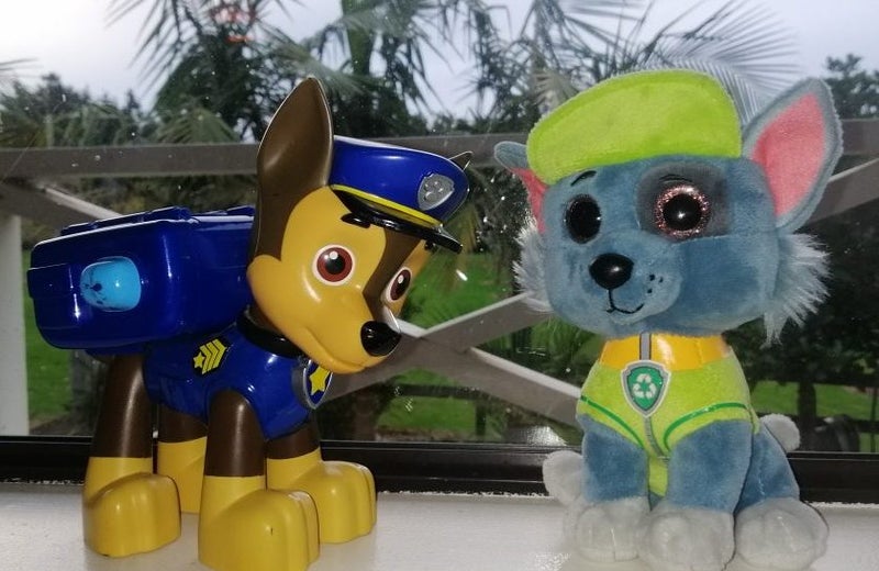 1 x Chase plastic toy 17cm tall & 1 x Rocky Plush toy 17cm tall Carousel 1