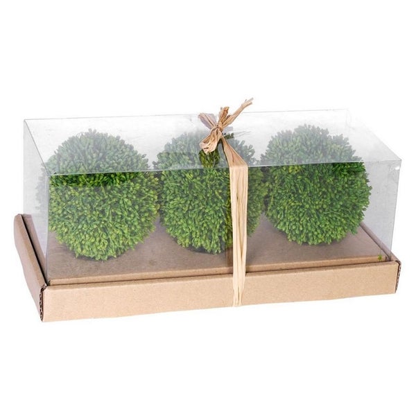 Rembrandt 3Pc Ball In Box - Green (SE2171) Carousel 2