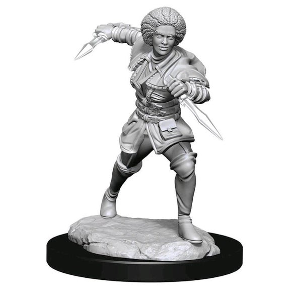 Magic the Gathering Unpainted Miniatures: Kaya Carousel 1