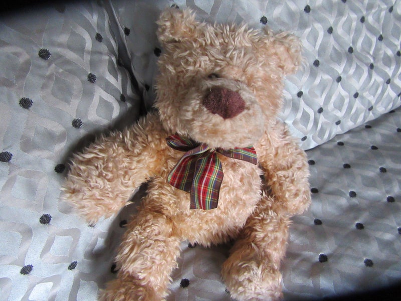GUND teddy Carousel 1