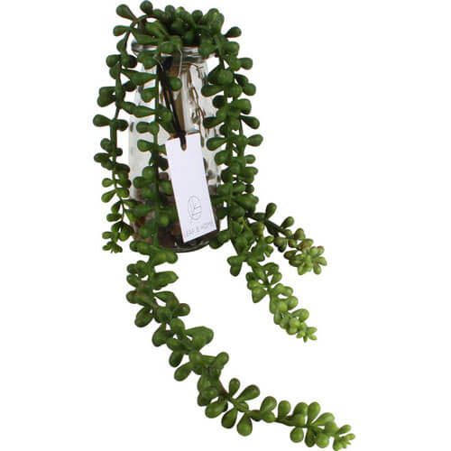 Vino Glass Vine Droppers 50cm Carousel 2