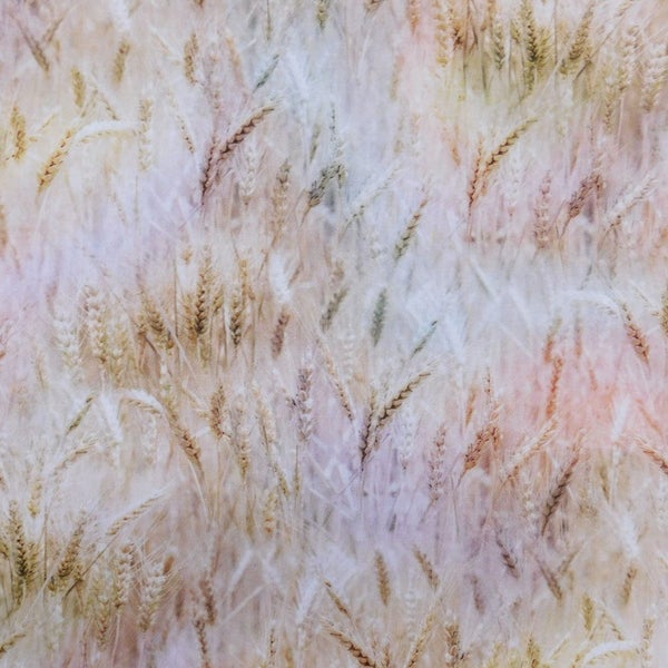 Quilting Patchwork Sewing Fabric Pastel Wheat Grass 50x55cm FQ Carousel 3