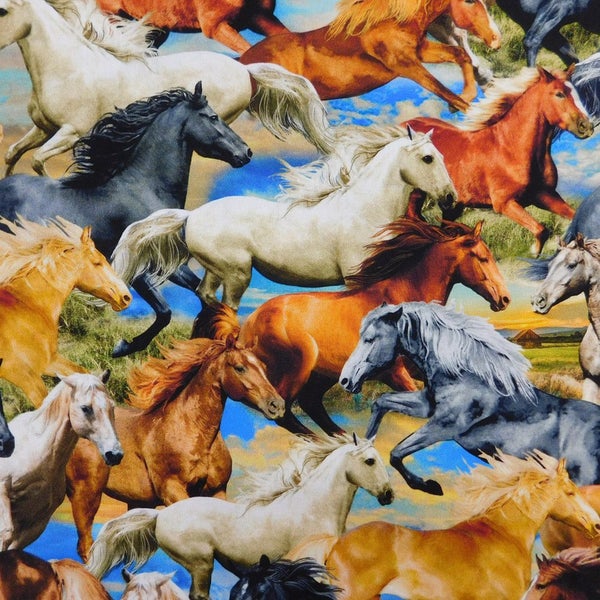 Quilting Patchwork Sewing Fabric Freedom Horses 50x55cm FQ Carousel 5