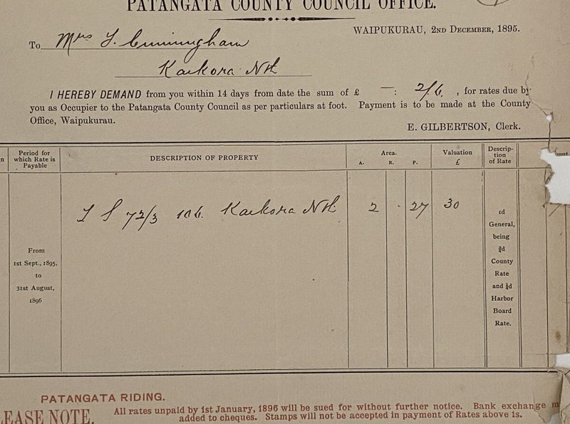 ANTIQUE RATES DEMAND: Patangata County Council Office, Waipukurau 1895 (129yo) Carousel 1