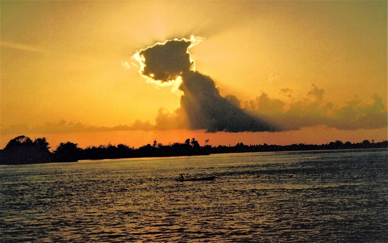 THE RIVER IS MY HIGHWAY. Adventures of a NZ Forester in Indonesian Borneo64549775677187113