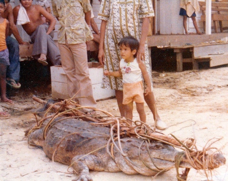 THE RIVER IS MY HIGHWAY. Adventures of a NZ Forester in Indonesian Borneo64549775677187114