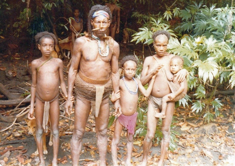 MEANWHILE, BACK IN THE JUNGLE. Adventures of a NZ Forester in W Papua & Sumatra64549675740035111