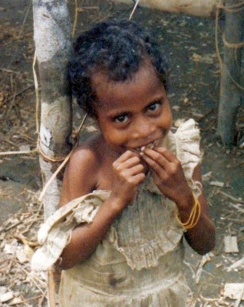 MEANWHILE, BACK IN THE JUNGLE. Adventures of a NZ Forester in W Papua & Sumatra64549675740035113