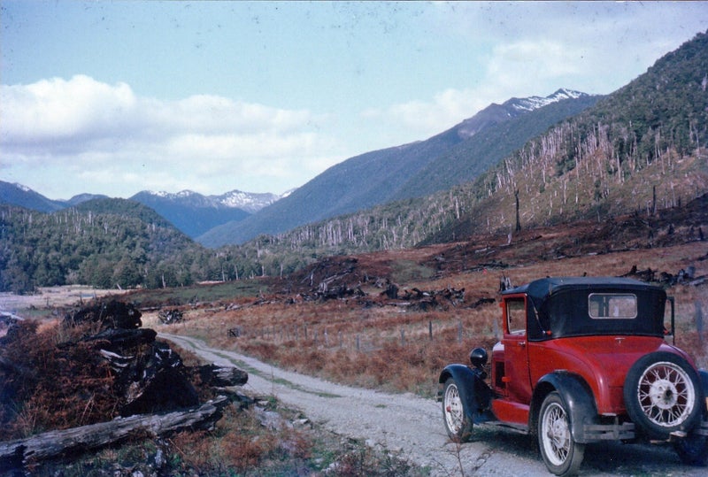 AN ACCIDENTAL BUSHMAN. The adventures of a Forest Ranger in 1960s backcountry NZ64549478049795112
