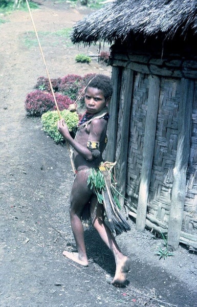 CANNIBALS, CROCODILES & CASSOWARIES. Adventures of a NZ forester in New Guinea64549775694722114