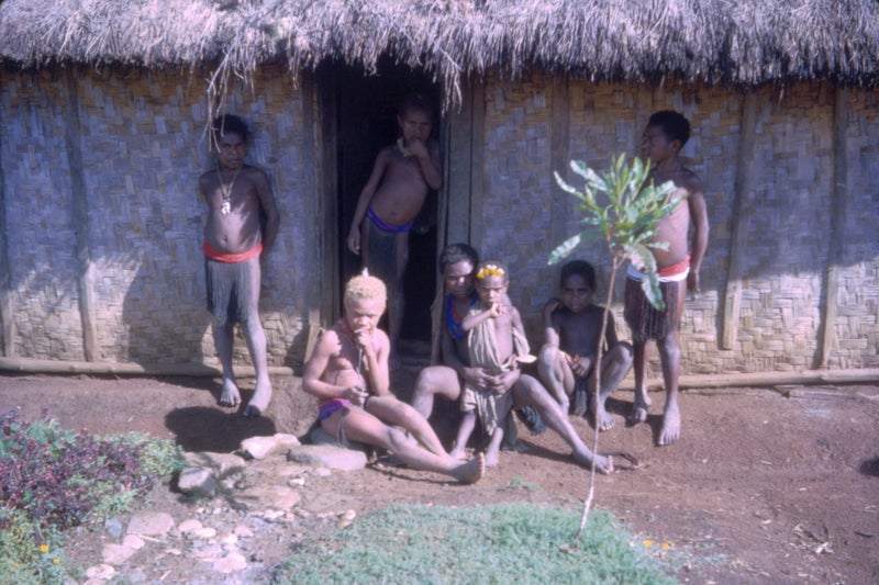 CANNIBALS, CROCODILES & CASSOWARIES. Adventures of a young Kiwi in New Guinea Carousel 10