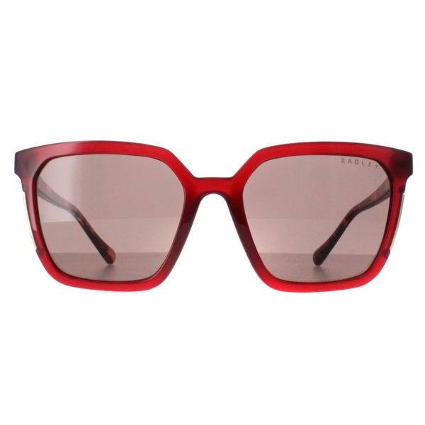 Radley Sunglasses Allington 6506 172A Transparent Burgundy Brown Carousel 1