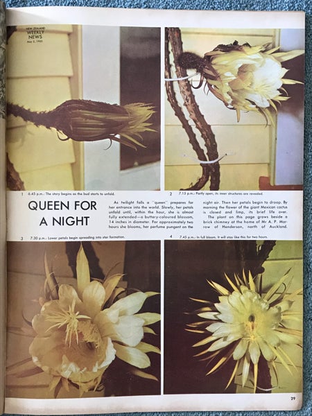 OLD NEWSPAPER: New Zealand Weekly News - No. 5293, 5 May 1965 Carousel 4