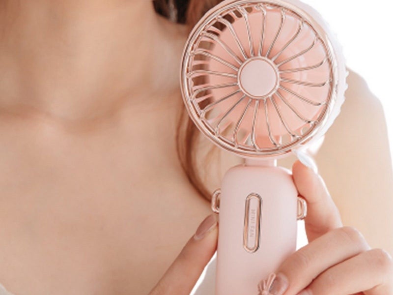 USB Mini Handheld Fan with Hanging Rope Electric Fan with 3 Wind Speeds Pink Carousel 3