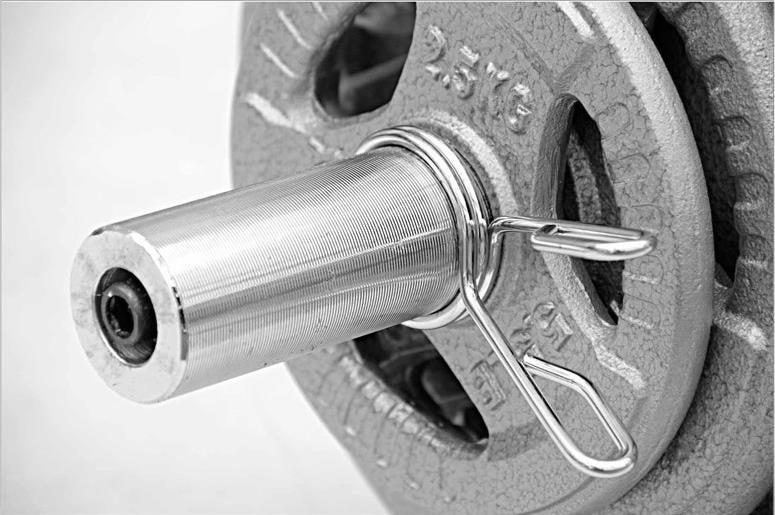 Weights/Plates 10kg x 4 Olympic Size 50mm Diameter Brand New Carousel 3