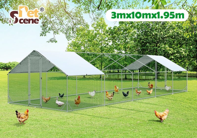 Chicken Run Coop - New Carousel 2