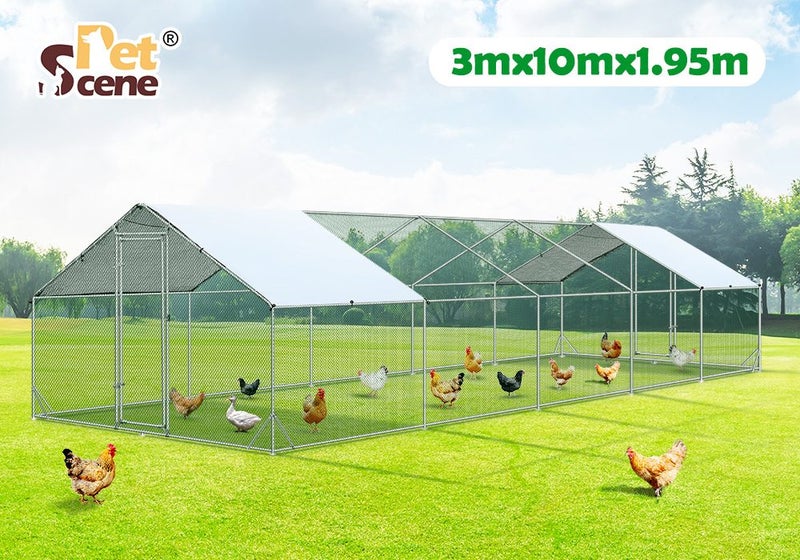 Chicken Run Coop - New Carousel 1