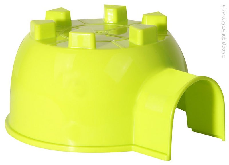 Pet One - Small Animal Hide Plastic Igloo (M) 19x16.6x9.3cm Green Carousel 1