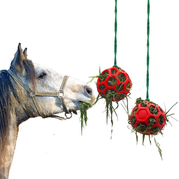 Horse Treat Ball New Carousel 1