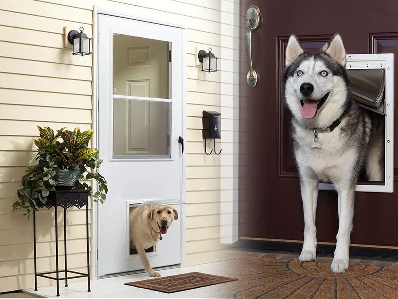 Replacement Flaps for Dog Doors NZ Clearance Carousel 2