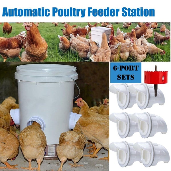 Chicken Feeder Station Automatic Poultry Feeder *Local Buy* Carousel 1