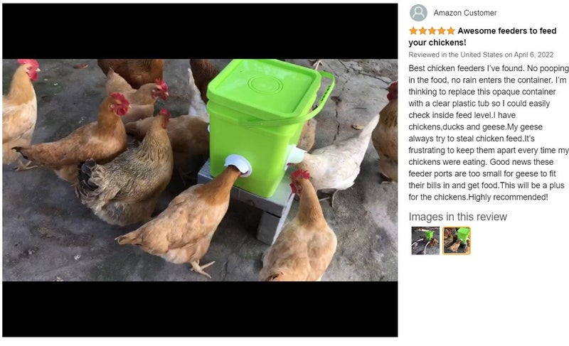 Chicken Feeder Station Automatic Poultry Feeder *Local Buy* Carousel 2