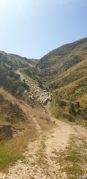 4 Rivers Farming Carousel 1